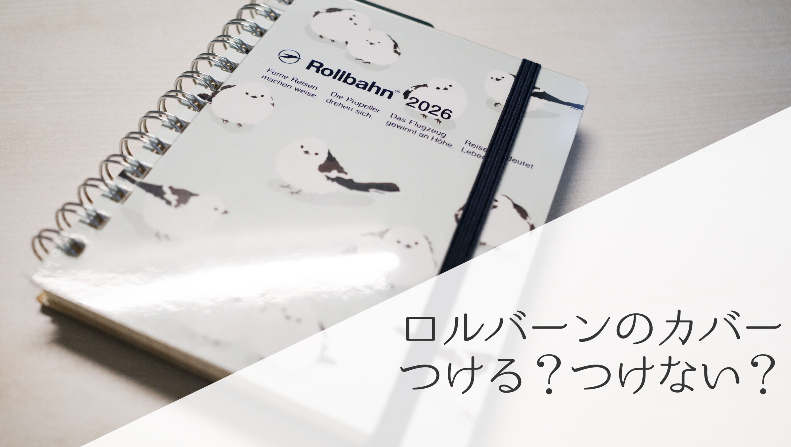 ロルバーンダイアリーMのカバー『つける』『つけない』問題。代用品も 